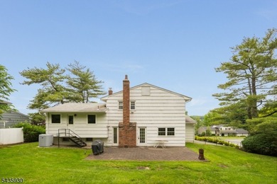 STYLISH 3-BED/2.1 BATH SPLIT-LEVEL HOME IN QUIET NEIGHBORHOOD - photo 42