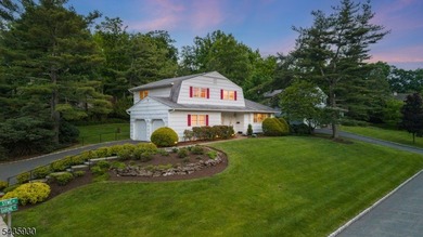 STYLISH 3-BED/2.1 BATH SPLIT-LEVEL HOME IN QUIET NEIGHBORHOOD - photo 46