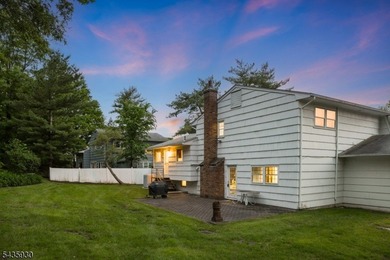 STYLISH 3-BED/2.1 BATH SPLIT-LEVEL HOME IN QUIET NEIGHBORHOOD - photo 47