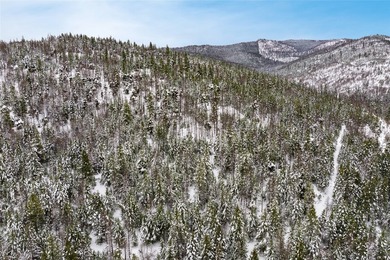 A once in a lifetime opportunity to own a remarkable 607-acre - photo 49