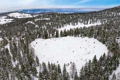 A once in a lifetime opportunity to own a remarkable 607-acre - photo 50