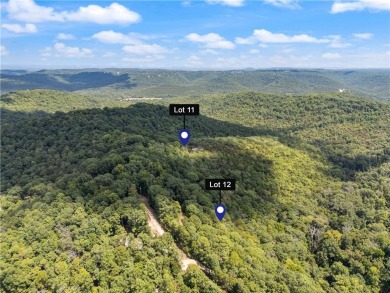 Table Rock Lake - Carroll County Acreage For Sale in Eureka Springs Arkansas