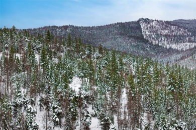 A once in a lifetime opportunity to own a remarkable 607-acre - photo 52