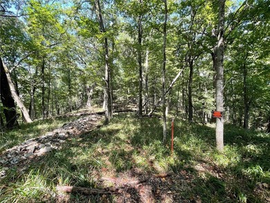 Located within the Wolf-Ridge Estate, this is a beautiful - photo 6