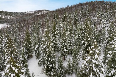 A once in a lifetime opportunity to own a remarkable 607-acre - photo 57