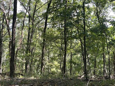 Located within the Wolf-Ridge Estate, this is a beautiful - photo 8
