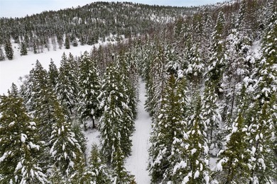 A once in a lifetime opportunity to own a remarkable 607-acre - photo 58
