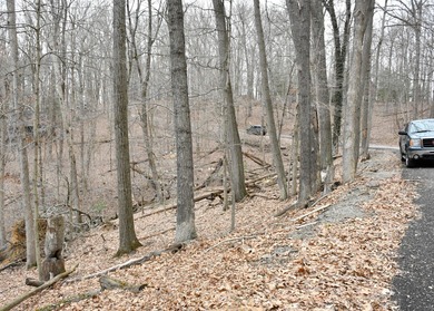 Lake of Four Seasons Lot Sale Pending in Bremen Ohio