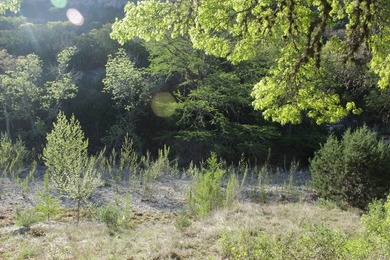 This is the *live water* hunting ranch youve been looking for - photo 5