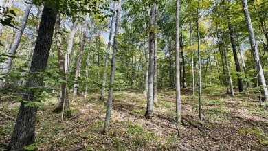 Welcome to your private paradise! 327 acres of rural land! - photo 13