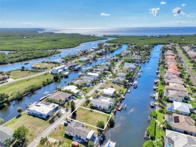 Peace River Lot For Sale in Punta Gorda Florida