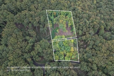 Lake Lot For Sale in Hiawassee, Georgia