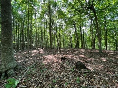 Dale Hollow Lake Acreage For Sale in Allons Tennessee