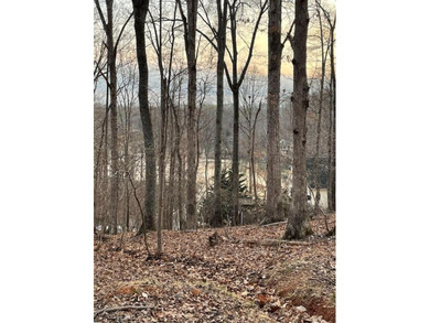 Smith Mountain Lake Lot For Sale in Moneta Virginia