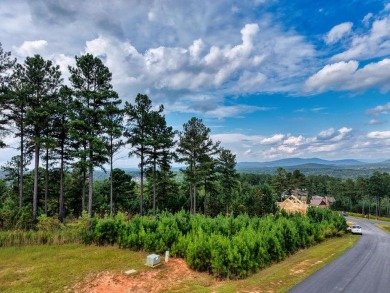 Lake Lot For Sale in Blairsville, Georgia