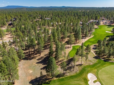 3655 S Woodland Hills DR lot #366, Flagstaff, AZ 86005. Gorgeous - photo 4