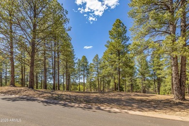 3655 S Woodland Hills DR lot #366, Flagstaff, AZ 86005. Gorgeous - photo 5