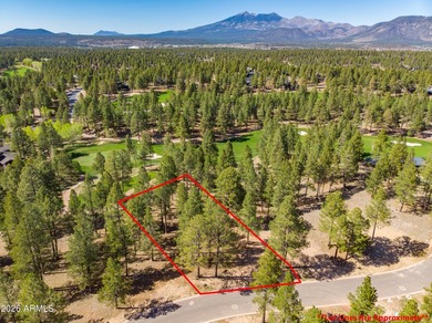 3655 S Woodland Hills DR lot #366, Flagstaff, AZ 86005. Gorgeous - photo 6