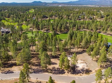 3655 S Woodland Hills DR lot #366, Flagstaff, AZ 86005. Gorgeous - photo 7