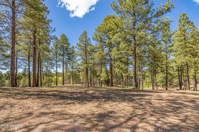 3655 S Woodland Hills DR lot #366, Flagstaff, AZ 86005. Gorgeous - photo 8