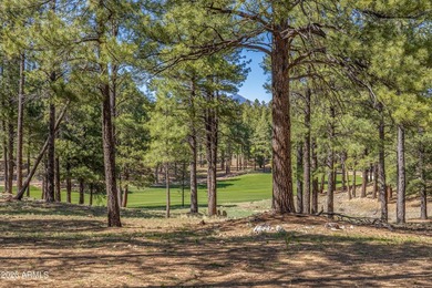 3655 S Woodland Hills DR lot #366, Flagstaff, AZ 86005. Gorgeous - photo 9