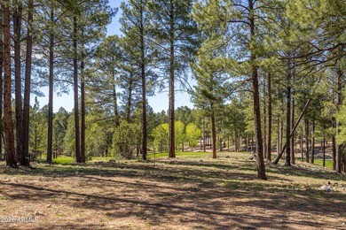 3655 S Woodland Hills DR lot #366, Flagstaff, AZ 86005. Gorgeous - photo 10