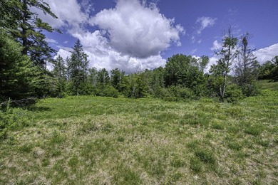 Sale includes two parcels of land totaling 35 acres. HA-385 is - photo 3