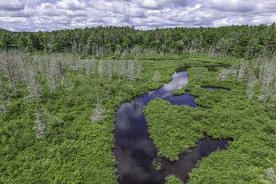 Sale includes two parcels of land totaling 35 acres. HA-385 is - photo 4