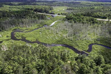 Sale includes two parcels of land totaling 35 acres. HA-385 is - photo 5