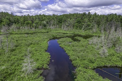 Sale includes two parcels of land totaling 35 acres. HA-385 is - photo 6