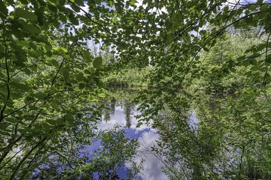 Sale includes two parcels of land totaling 35 acres. HA-385 is - photo 7