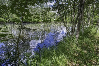 Sale includes two parcels of land totaling 35 acres. HA-385 is - photo 8