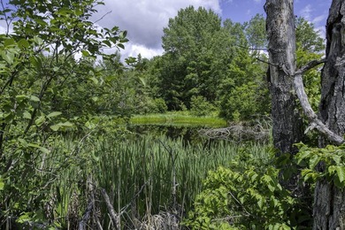 Sale includes two parcels of land totaling 35 acres. HA-385 is - photo 9