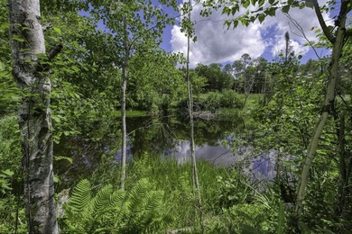 Sale includes two parcels of land totaling 35 acres. HA-385 is - photo 10