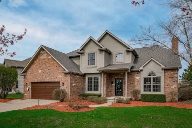 Lake Home Sale Pending in Shorewood, Illinois