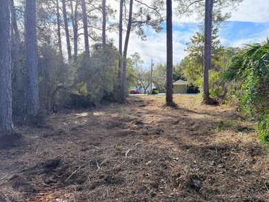 Build your dream coastal retreat on this prime vacant lot in the - photo 11