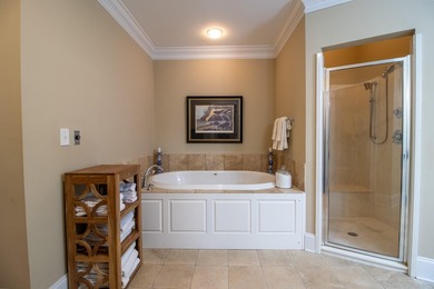 This home is an entertainers delight. Soaring high ceilings with - photo 28
