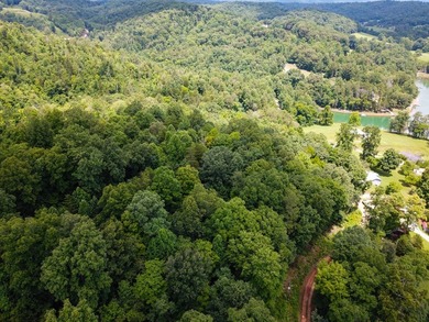 Introducing Lot 6 by Norris Lake in Union County, Tennessee: - photo 18