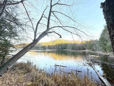 Lake Acreage For Sale in Townsend, Wisconsin