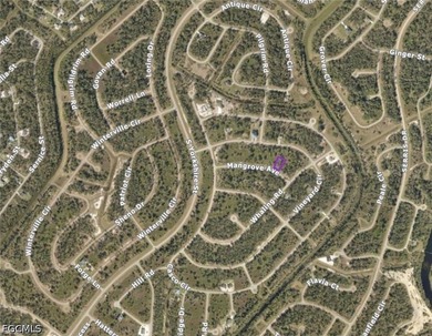 Build your Florida dream on this spacious lot in North Port - photo 4