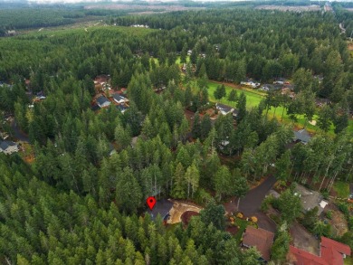 Newer custom home in the forest in Alderbrook - photo 34