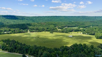 (private lake, pond, coastal) Acreage For Sale in Gaylesville Alabama