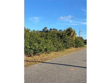 Build your dream home on this oversized corner lot in a - photo 4