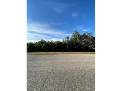 Build your dream home on this oversized corner lot in a - photo 5
