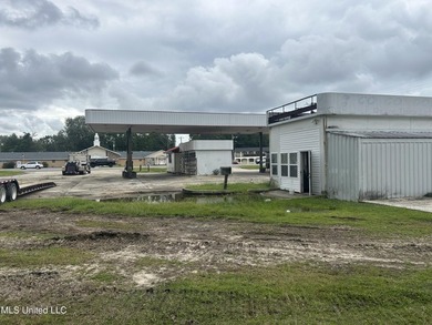 Prime commercial corner lot across from Saki restaurant. Ideal - photo 7