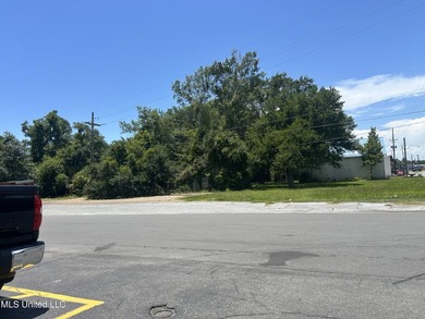 Corner commercial lot on corner of Ingalls Avenue and Mantou - photo 1