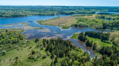 (private lake, pond, creek) Acreage For Sale in East Machias Maine