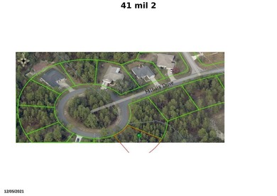 Cypress Village of Sugarmill Woods is a Deed Restricted - photo 2