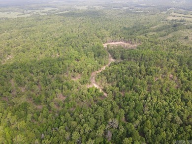 (private lake, pond, creek) Acreage For Sale in Sturkie Arkansas
