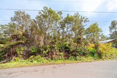 Build your dream retreat on this wooded flag lot on a paved - photo 3